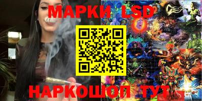 a pvp Дмитров