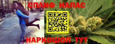 a pvp Дмитров