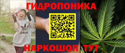 PSILOCYBIN Добрянка