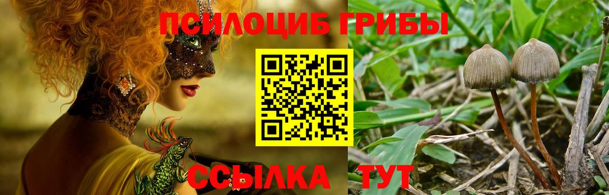 Псилоцибиновые грибы мухоморы Топки
