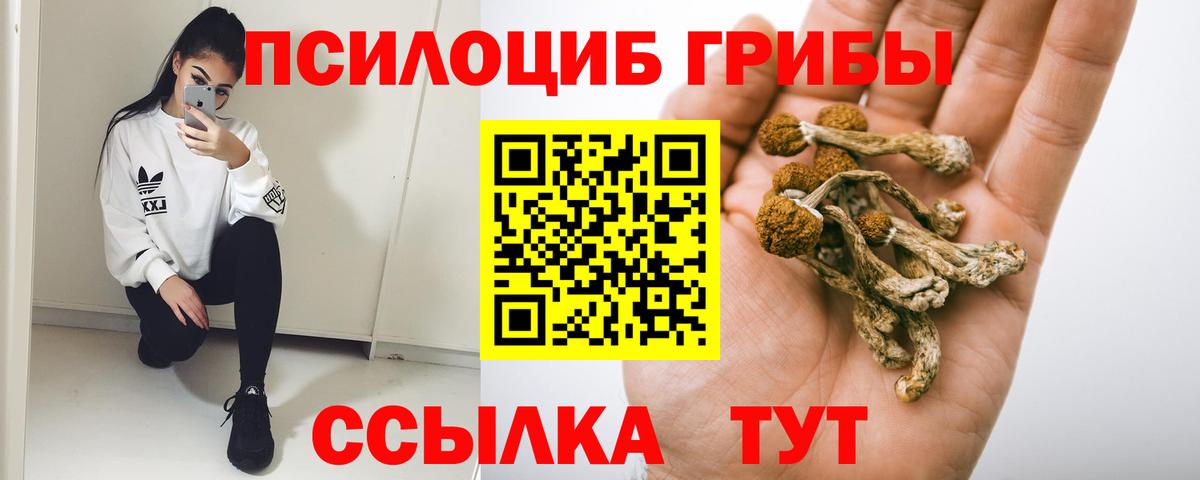 Псилоцибиновые грибы Psilocybe  Вход с VPN  Псилоцибиновые грибы Magic Shrooms  Топки 